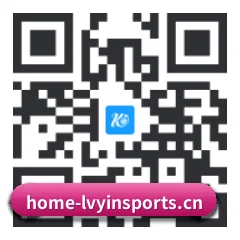 系统版 iOS 二维码